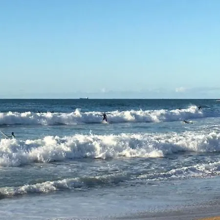 Studio Waikiki 3 Etoiles A 2 Pas De La Cote Des Basques & Des Halles アパート *