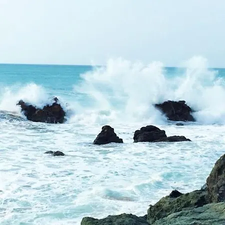 アパート Studio Waikiki 3 Etoiles A 2 Pas De La Cote Des Basques & Des Halles