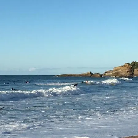 Studio Waikiki 3 Etoiles A 2 Pas De La Cote Des Basques & Des Halles アパート ビアリッツ